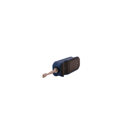 Digitul