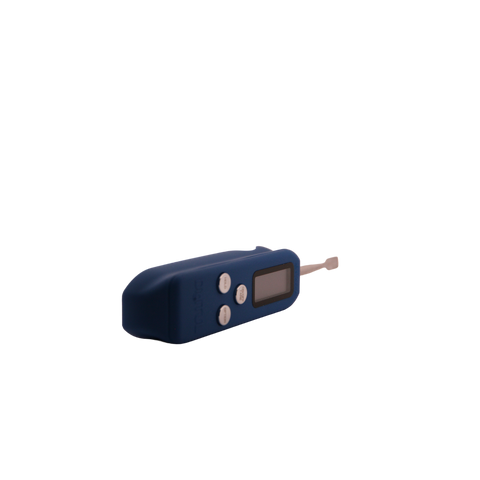 Digitul