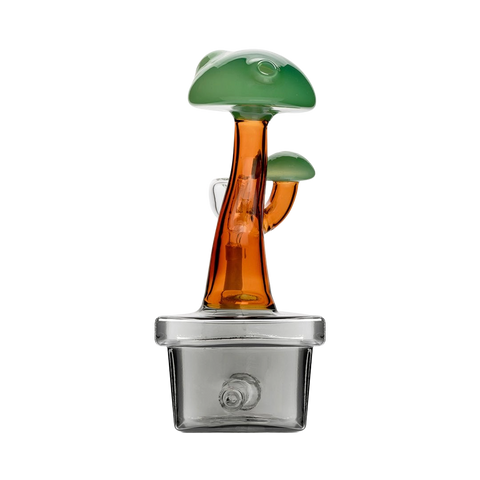 Bonsai Tree - Hemper
